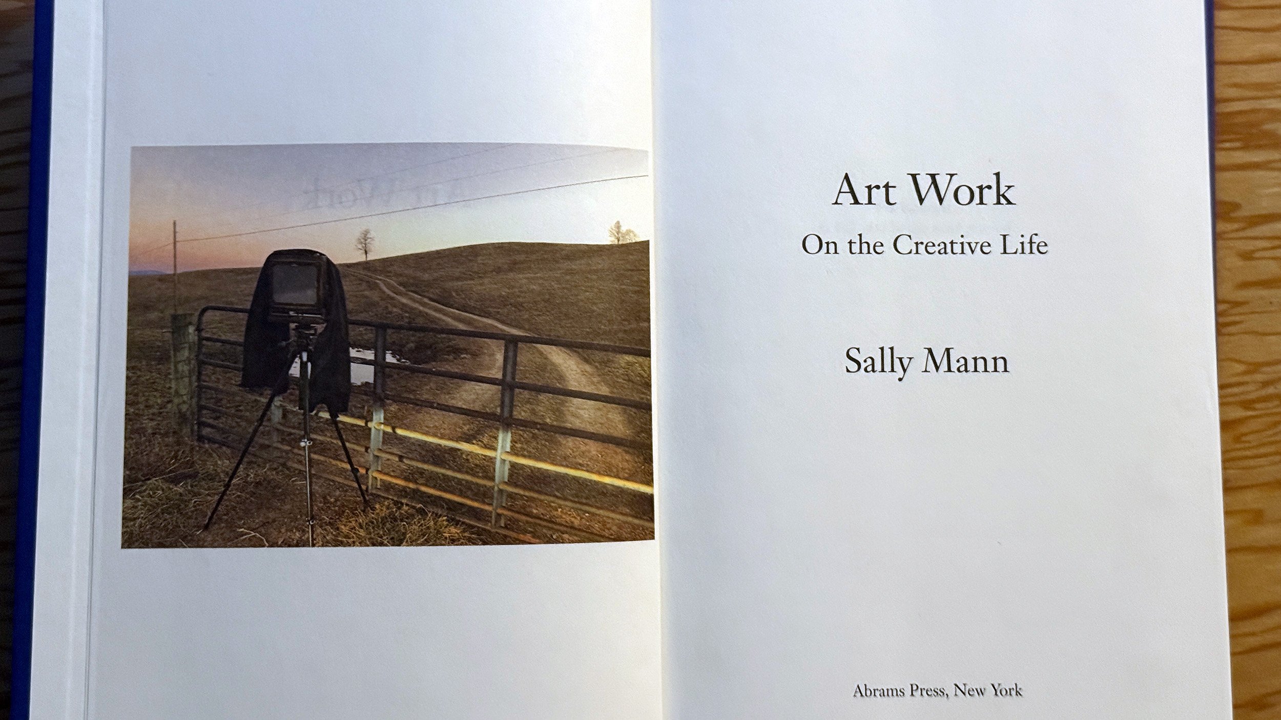 Some Notes and Words I learned or remembered reading Sally Mann's book 'Art Work: On the creative life'