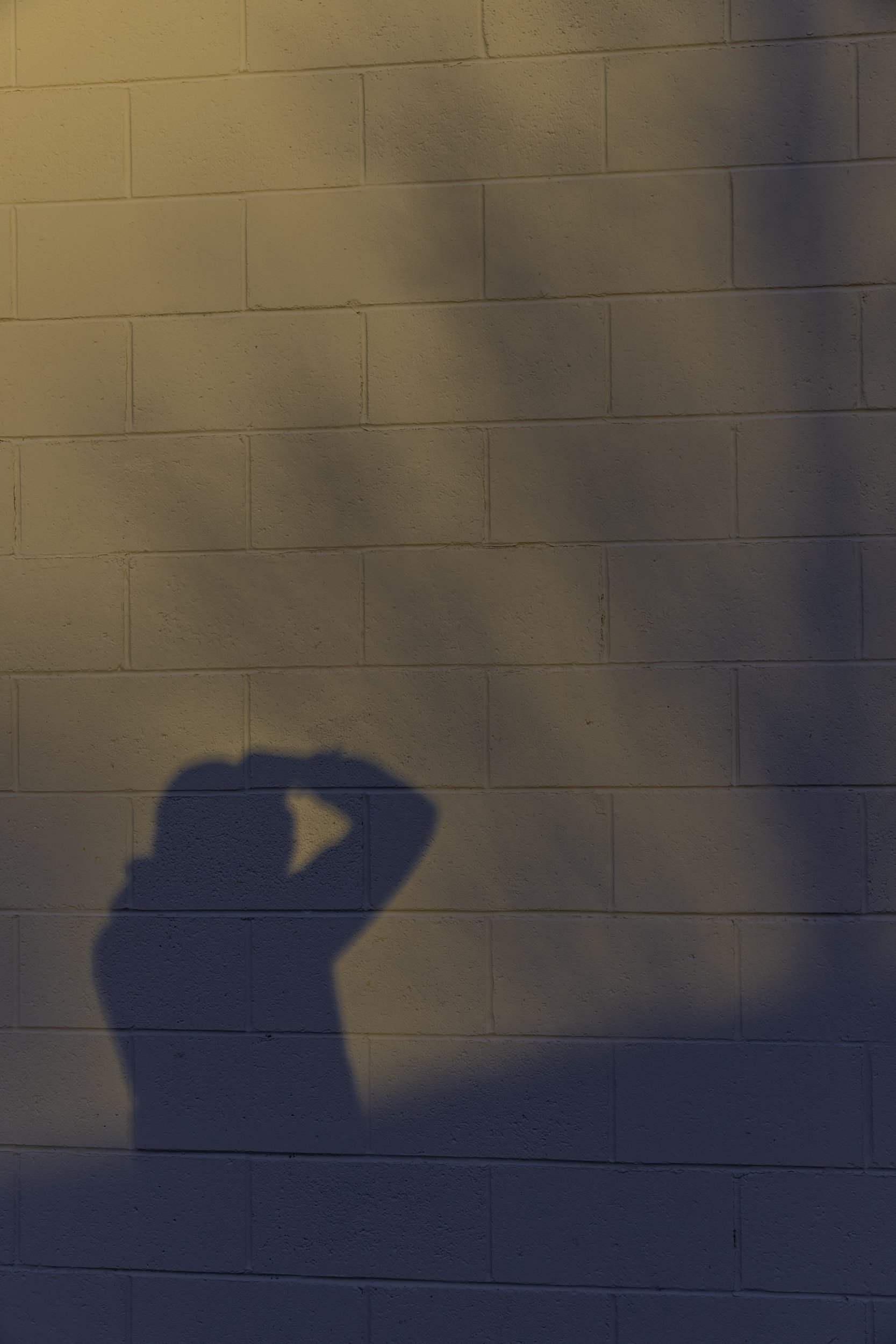 20250118-Again-along-the-wall-that-seems-4742.jpg
