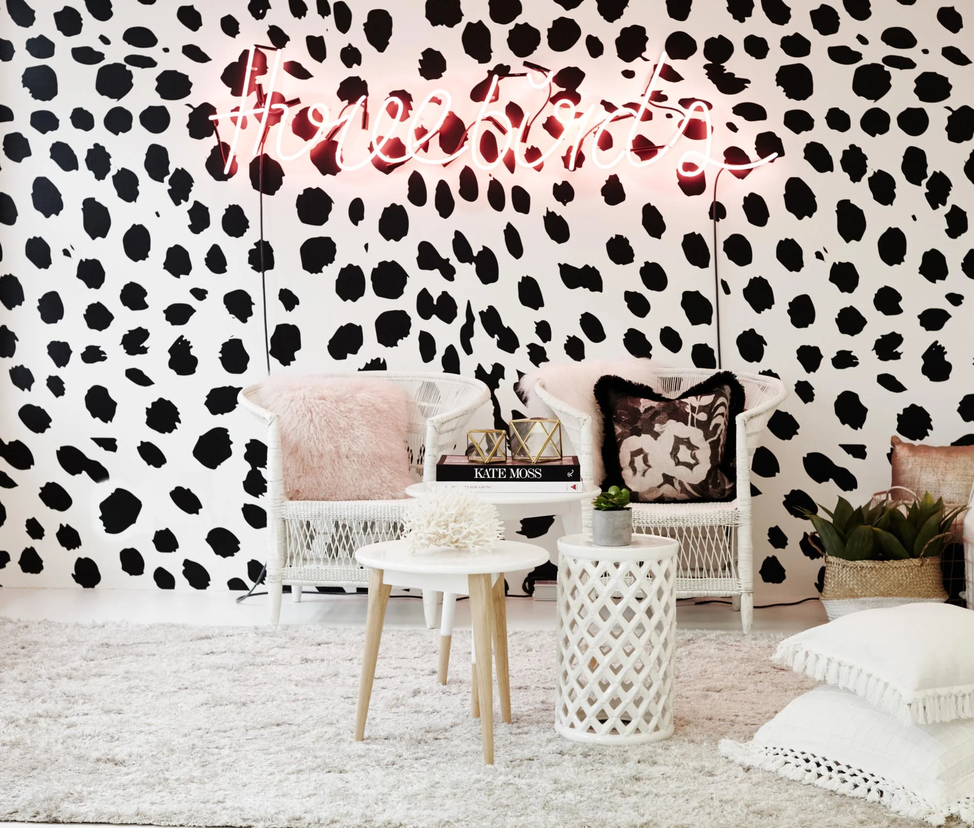 THREE BIRDS OFFICE REVEAL