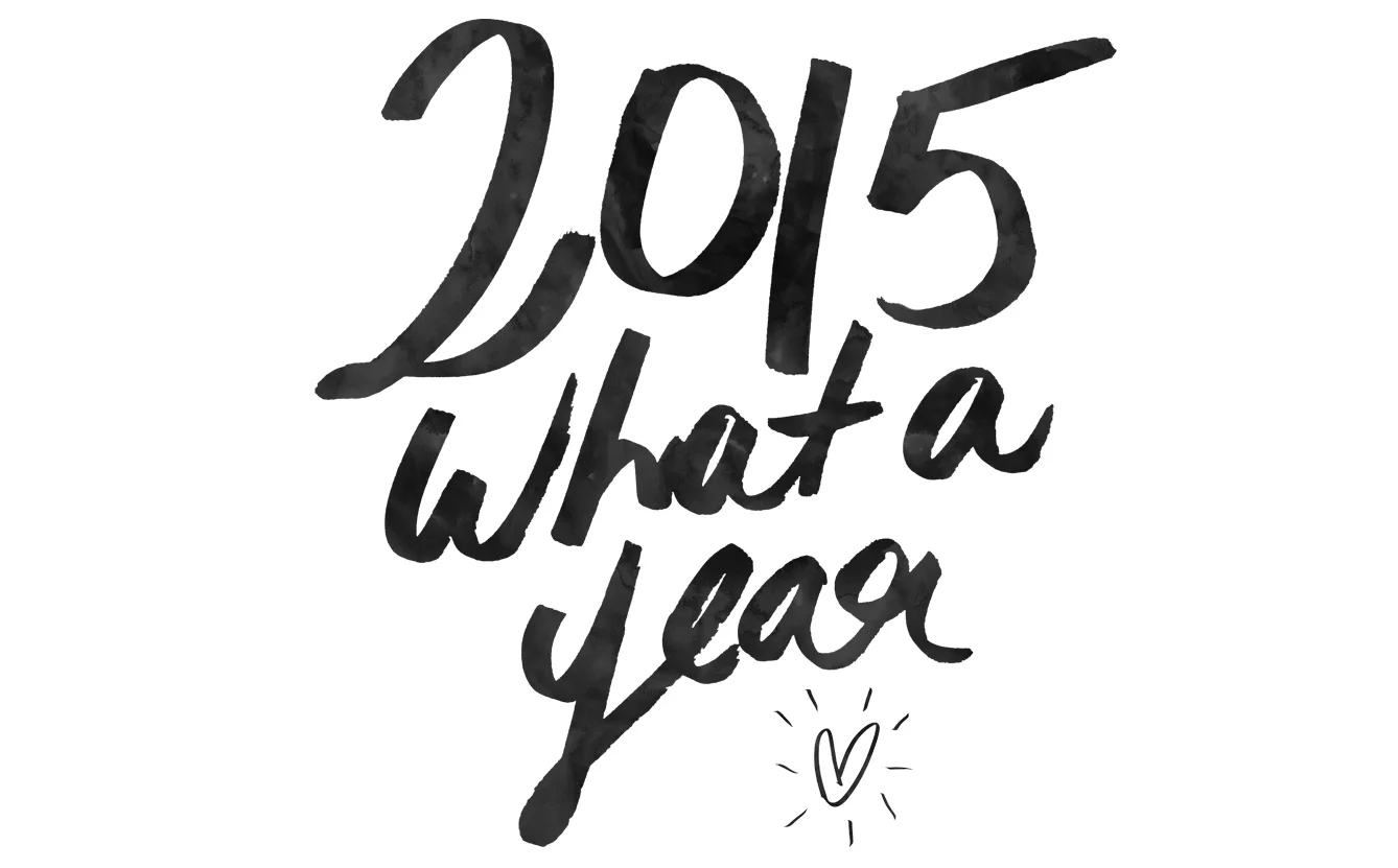 2015 HIGHLIGHTS (AND LOWLIGHTS)