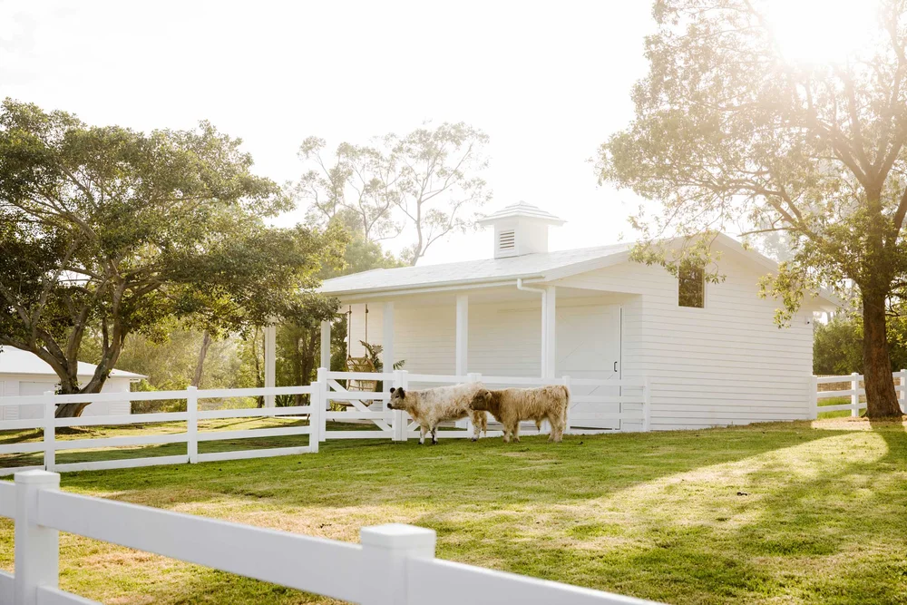The Power Of Paint Choosing An Exterior White Three Birds Renovations