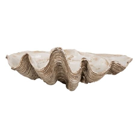 FREEDOM'S GIANT CLAM