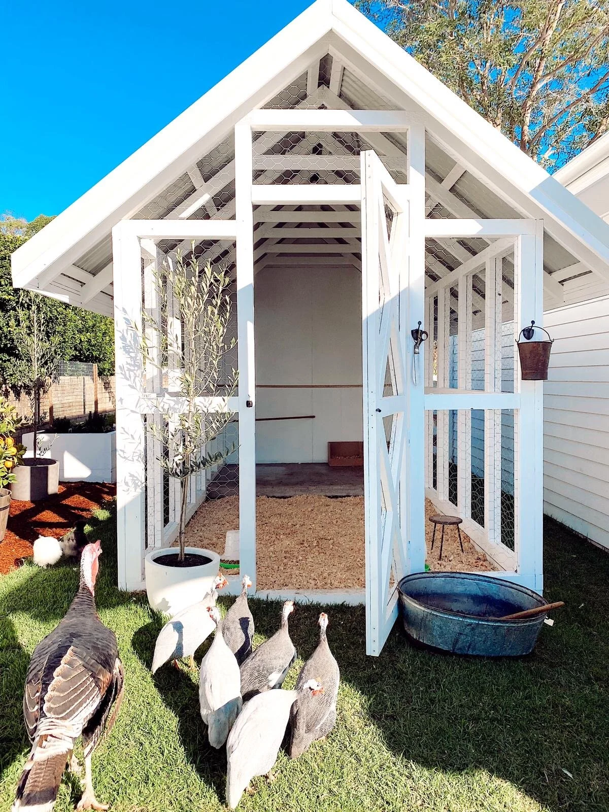HOW BONNIE BUILT THE CHICKEN COOP OF EVERY BIRD’S DREAMS