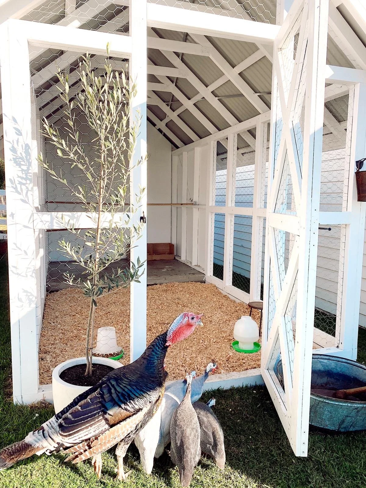 Bonnie s Chicken Coop THREE BIRDS RENOVATIONS