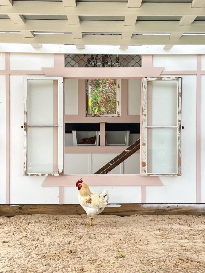 SHUT THE BARN DOOR: THESE CHOOK HOUSES ARE CLUCKING AMAZING!