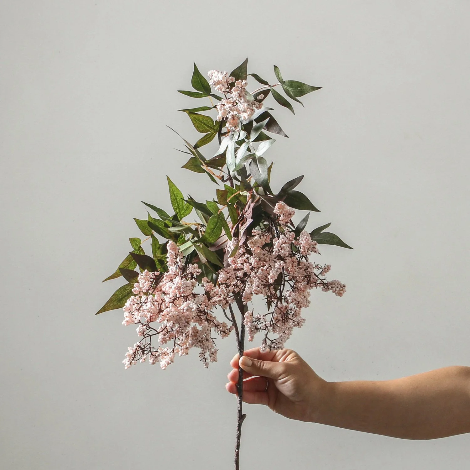 20% OFF FEW &amp; FAR