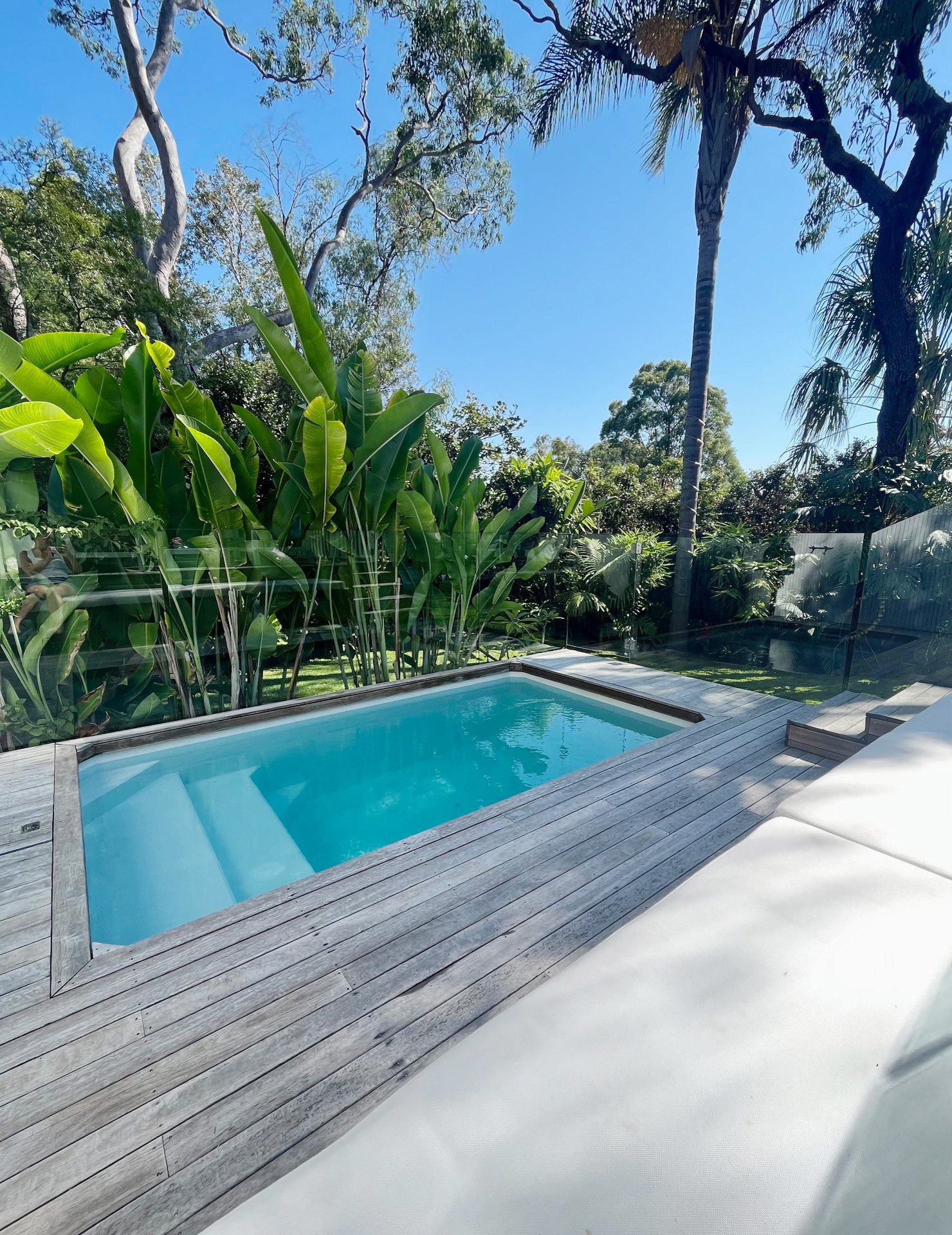 WHY YOU NEED A PLUNGE POOL IN YOUR LIFE — THREE BIRDS RENOVATIONS
