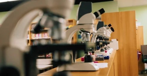 Row of microscopes ready for use on a counter in a school science laboratory.