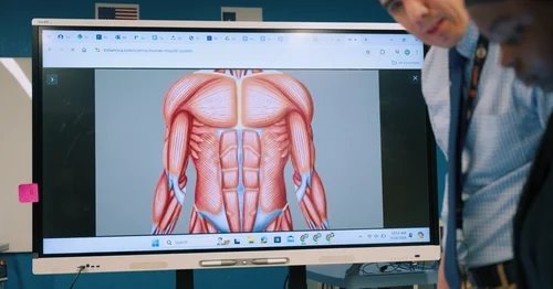Teacher and student viewing a digital display of the human muscular system anatomy.