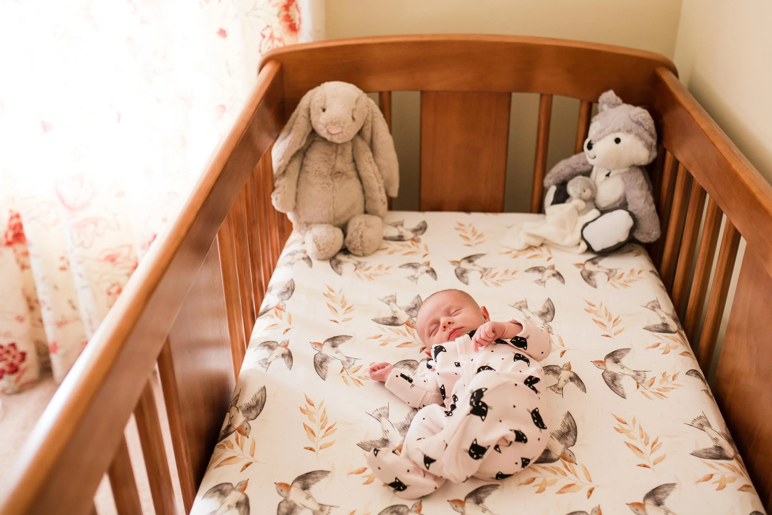 Web update- small-28.jpg