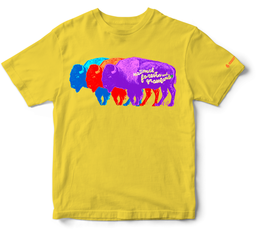 Buffalo Trio Tee Example front.png