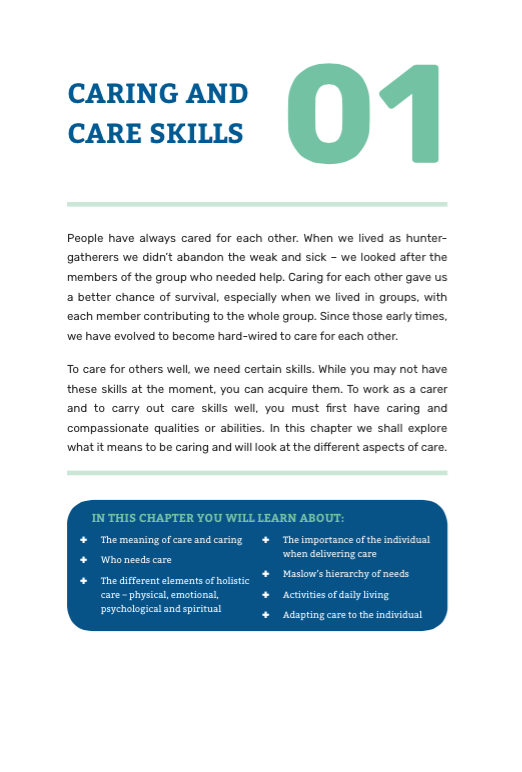 care skills assignment