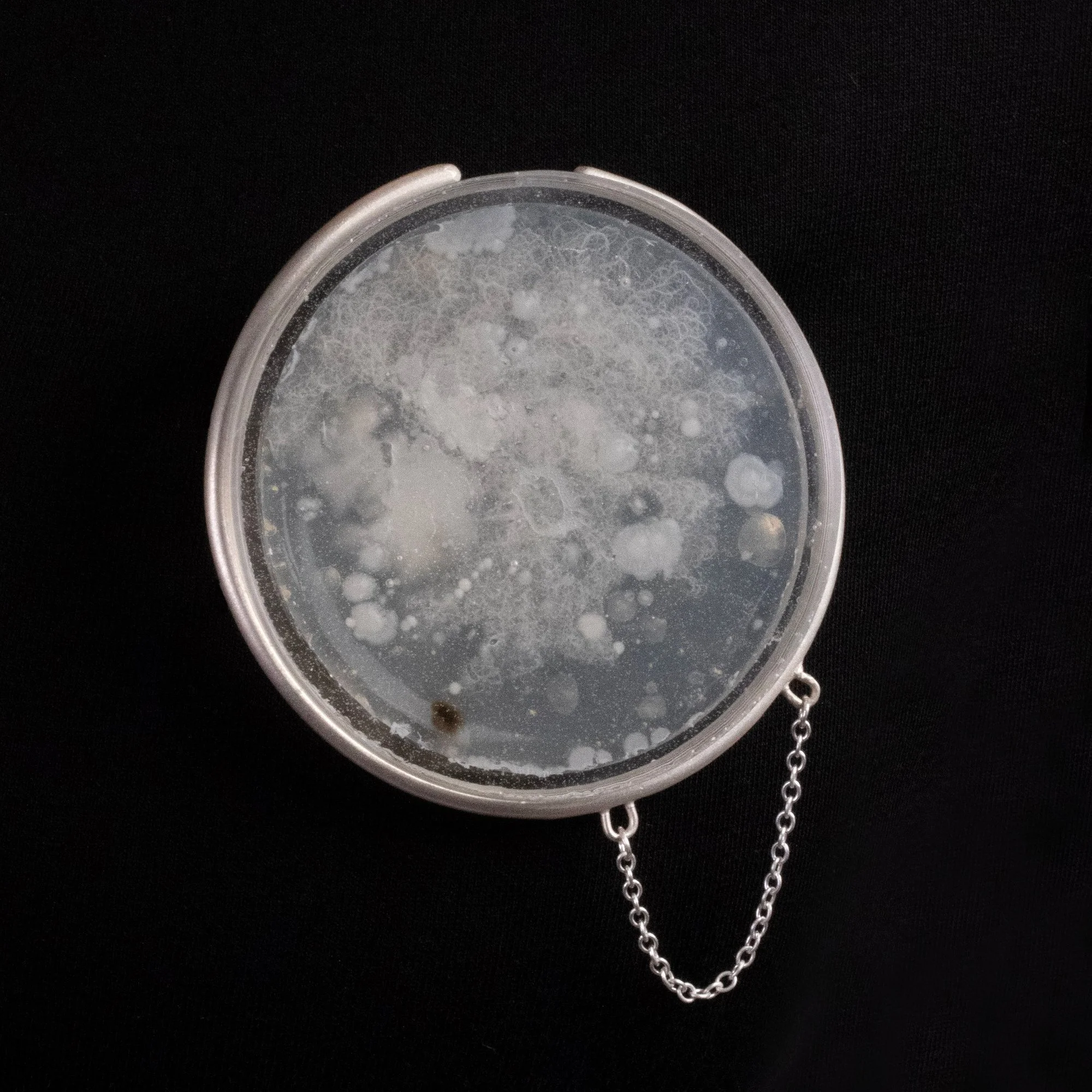 Great Northern Graduates