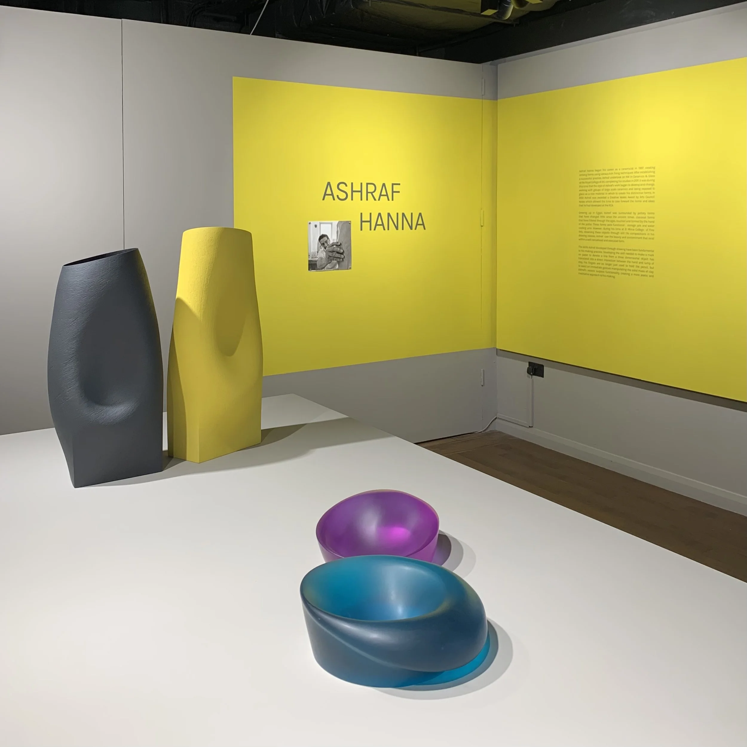 Ashraf Hanna Exhibition at Waterside Arts (8).jpg