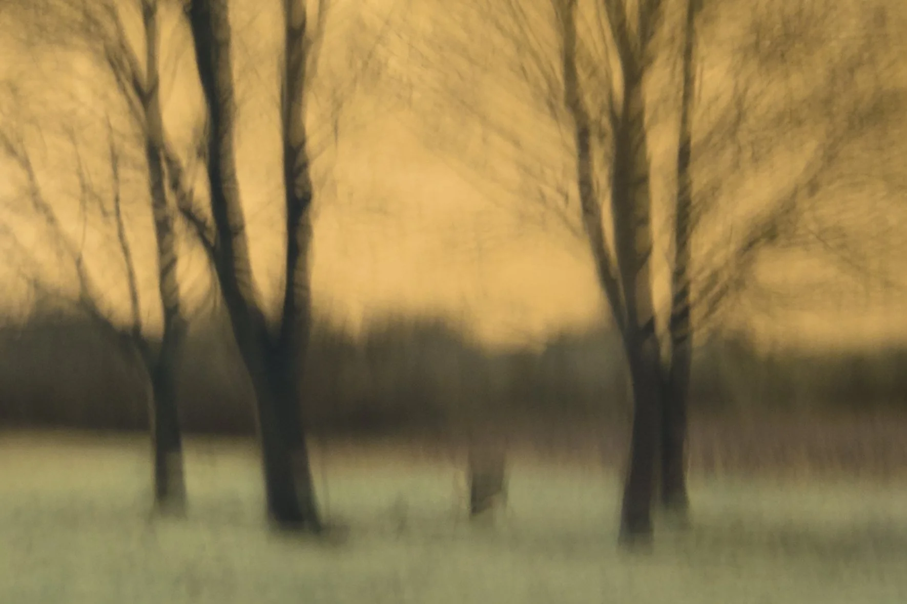 Mindscape014.jpeg