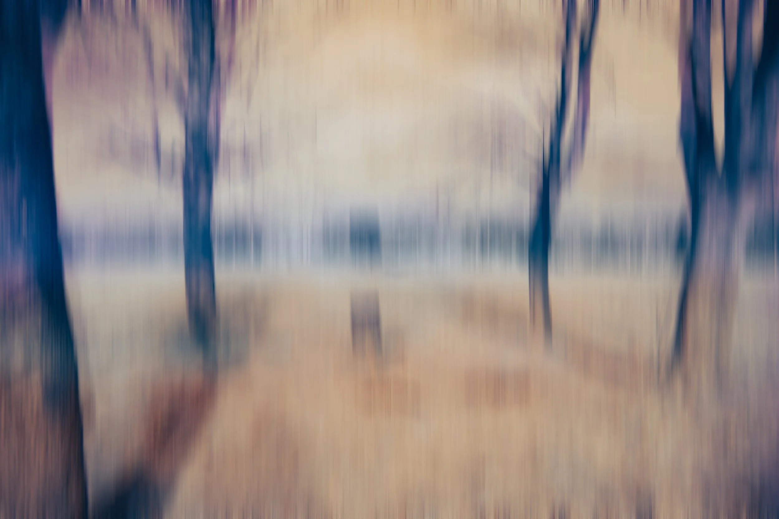 Mindscape016.jpeg
