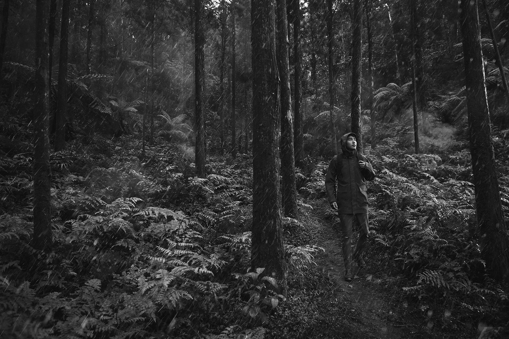 20161207-adidas+228075_forrest (s).jpg