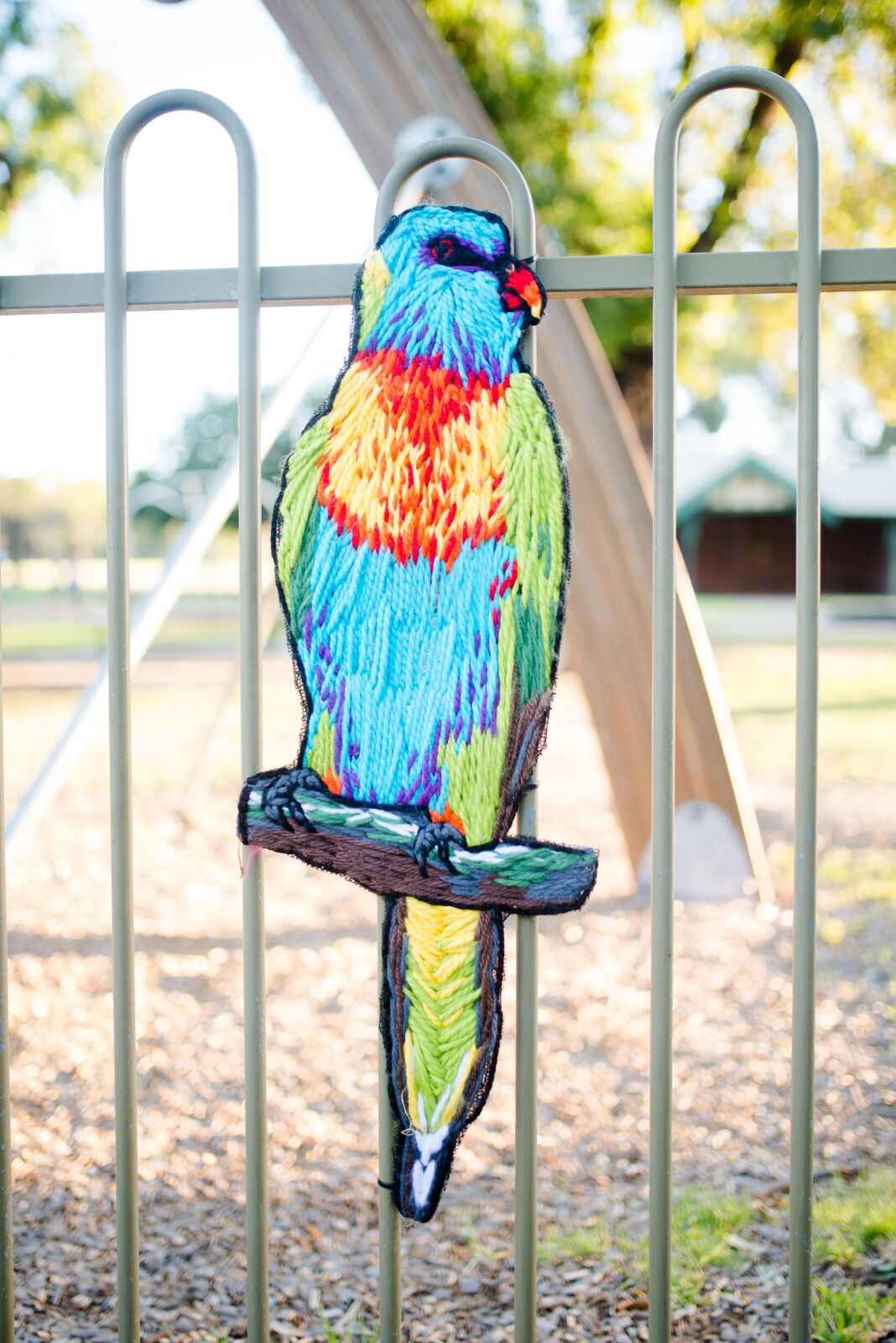 lorikeet.jpeg