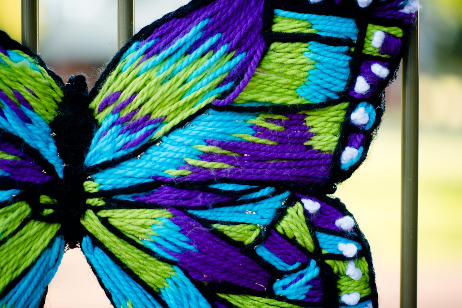 butterfly2.jpeg