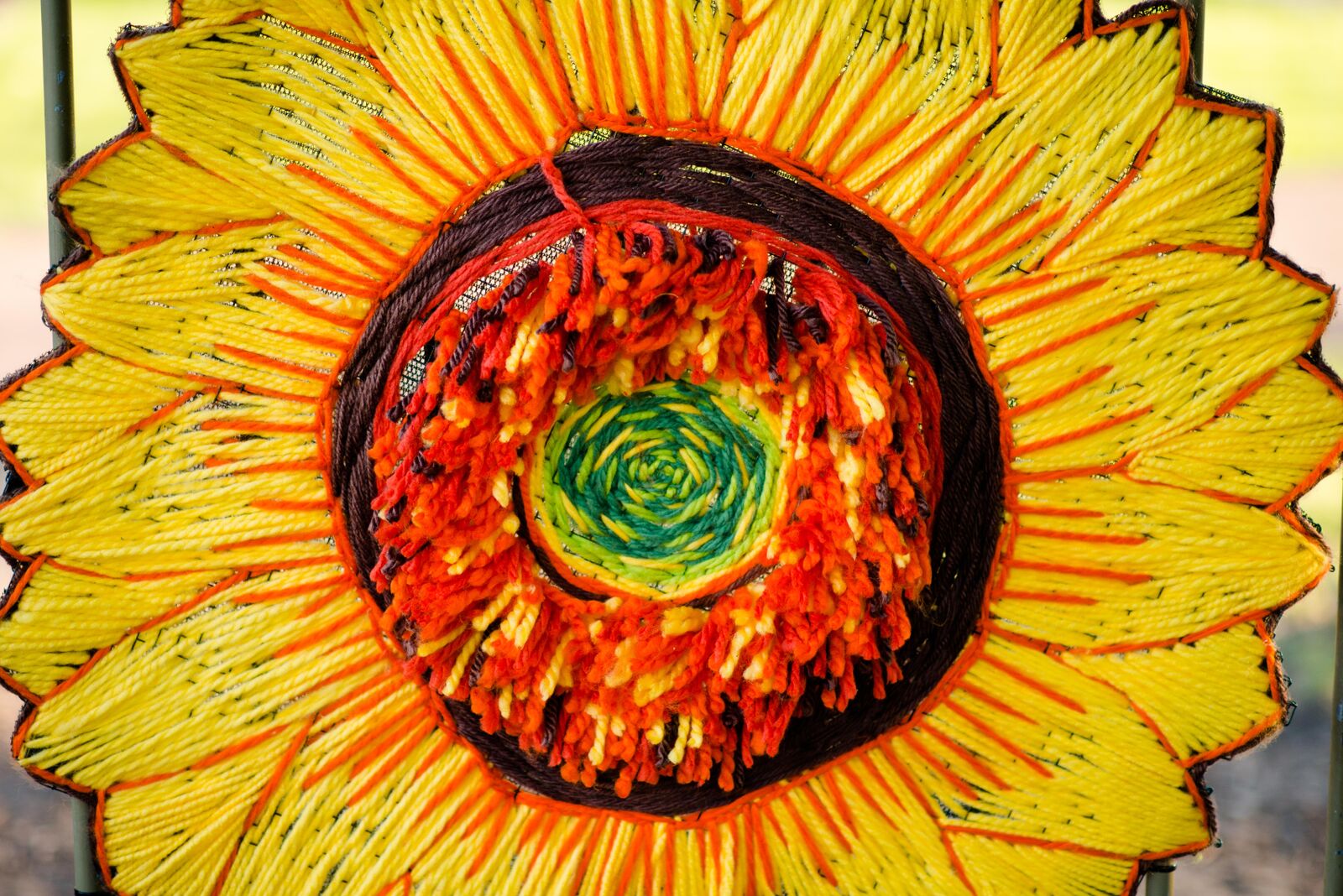 sunflowercloseup.jpeg