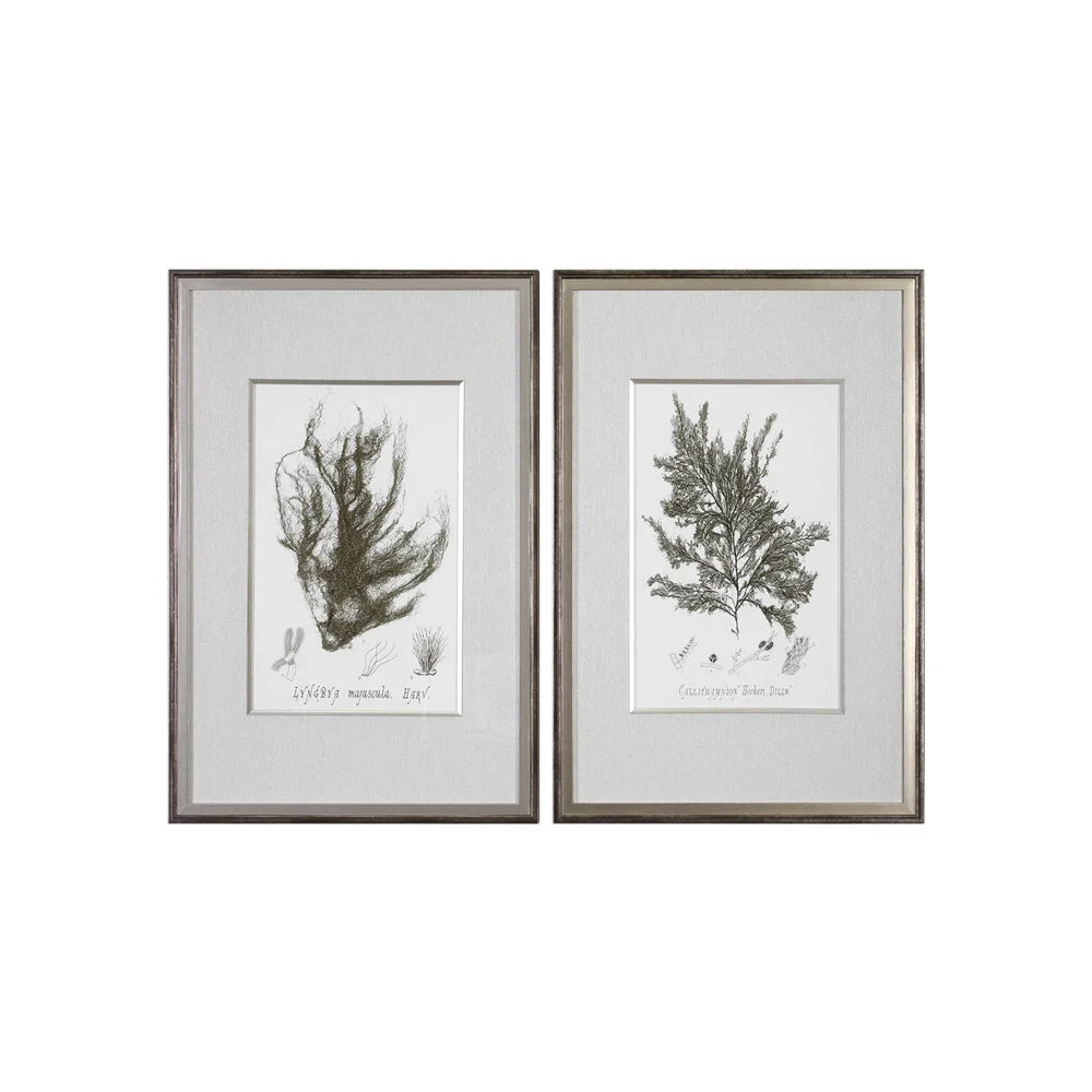 Постер Sepia Seaweed комплект из 2 шт.