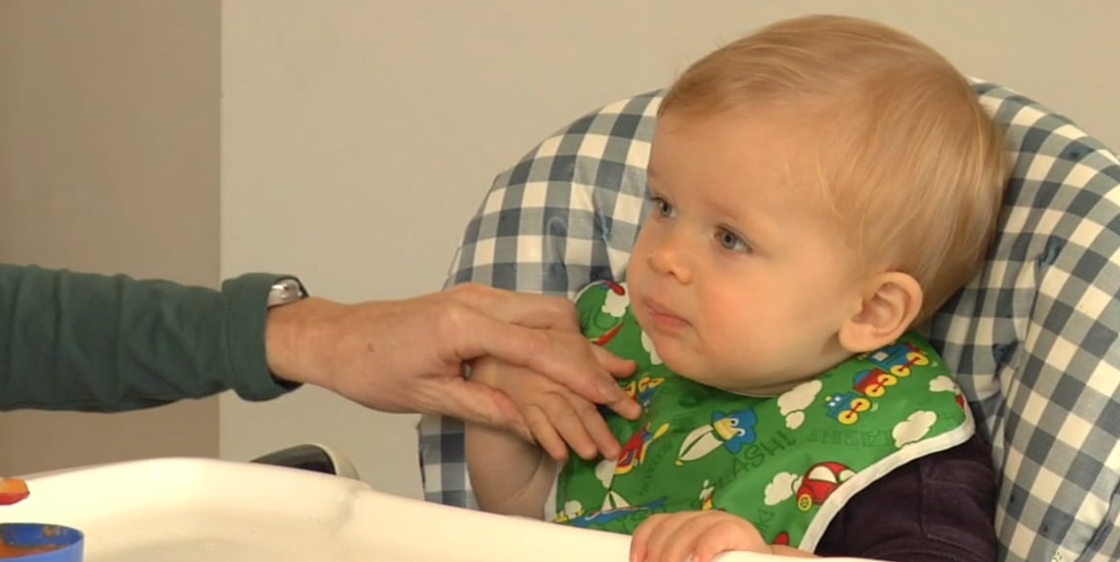 Teaching Your Baby Sign Language (BHTV3-12S)