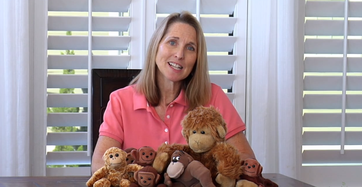 Proactive Strategies: How to Raise a Responsible Child (MYV4-09S) 