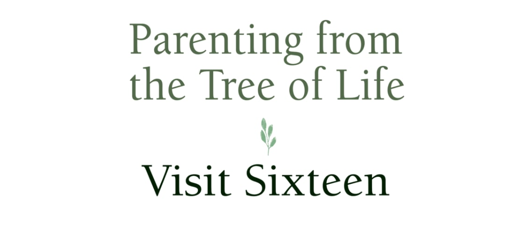 How to Raise a Responsible Child* (LSV16-01S) 