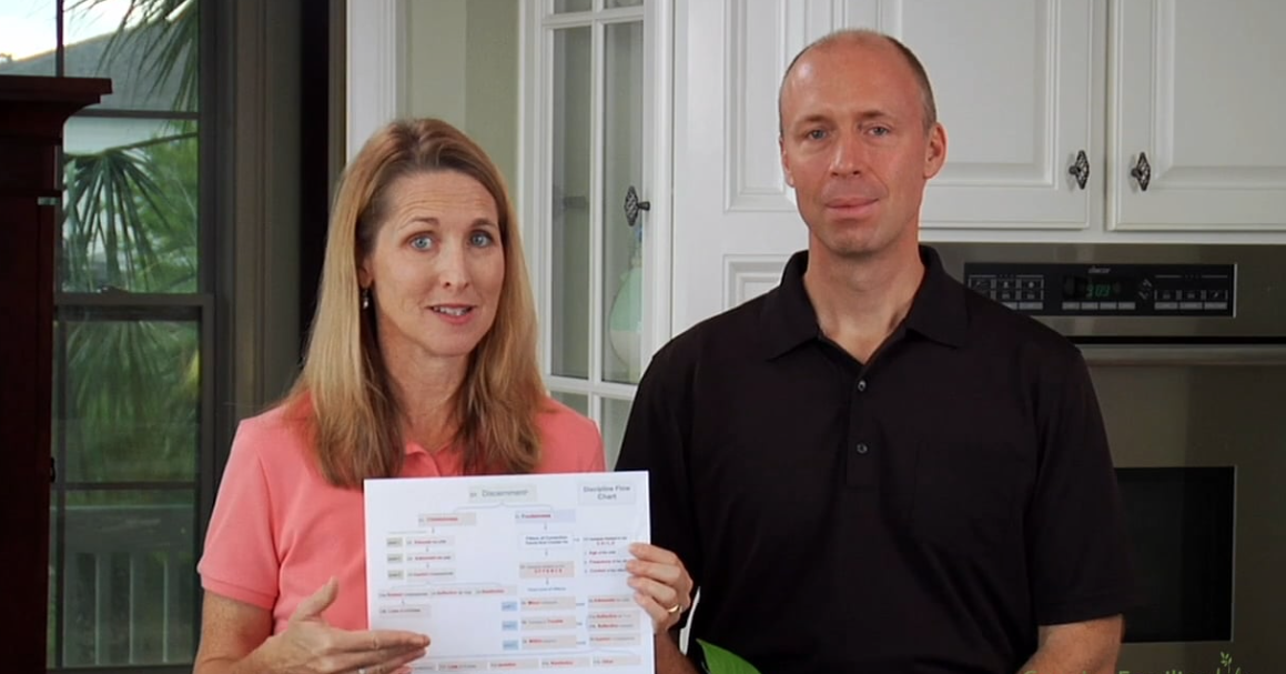  Introduction to the Discipline Flow Chart with Rich and Julie (LSV17-11S)