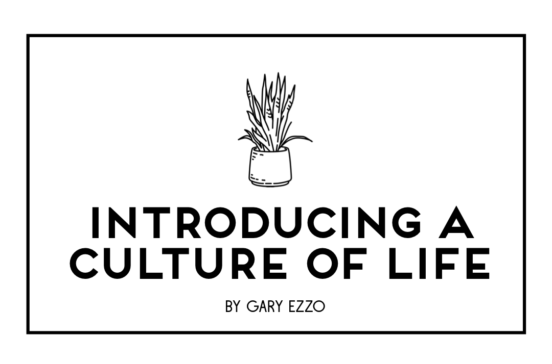 Introducing a Culture of Life