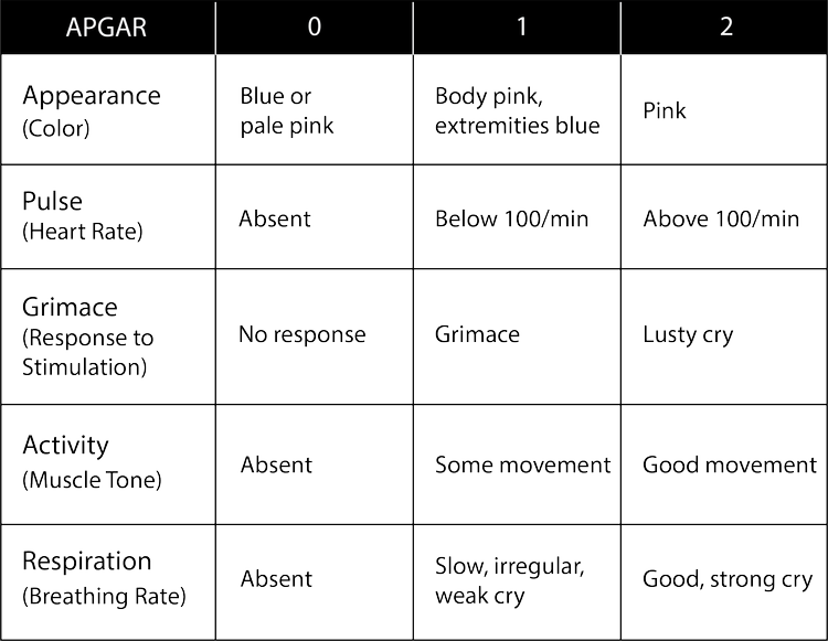 PFP Apgar Chart — GrowingFamilies.Life