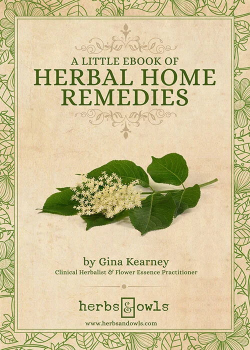 Herbal Home Remedies Ebook Herbs & Owls