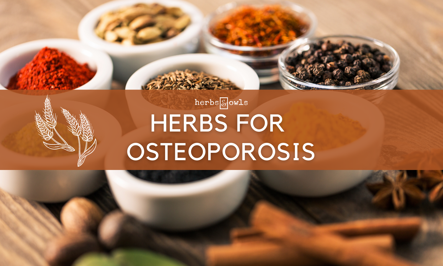 Herbs & Owls Herbal Consults, Classes & Herb Shop Treasure Coast, FL