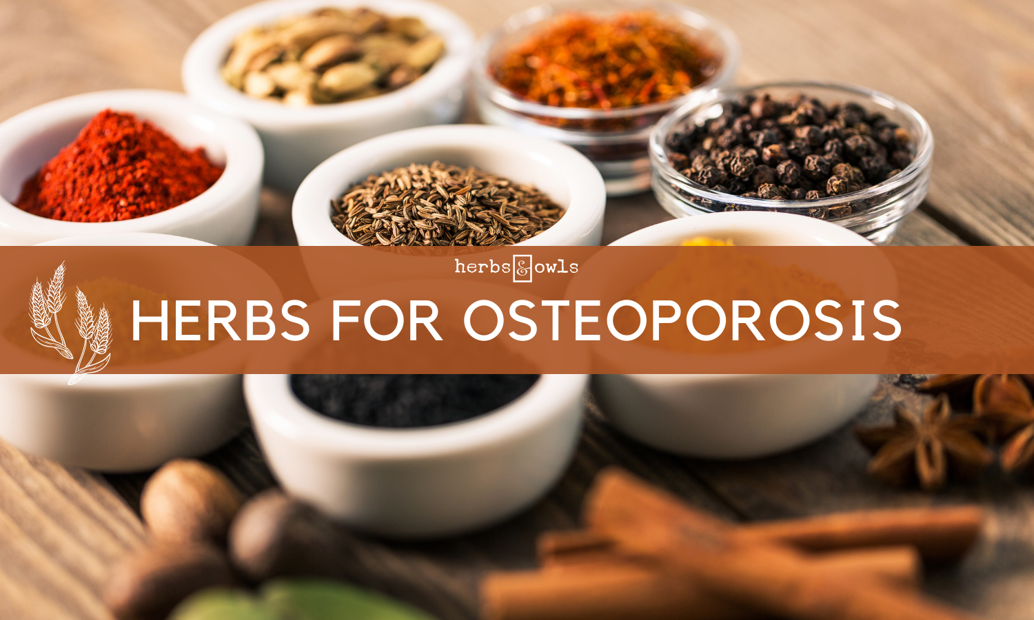 Herbal Medicine Blog — Herbs & Owls