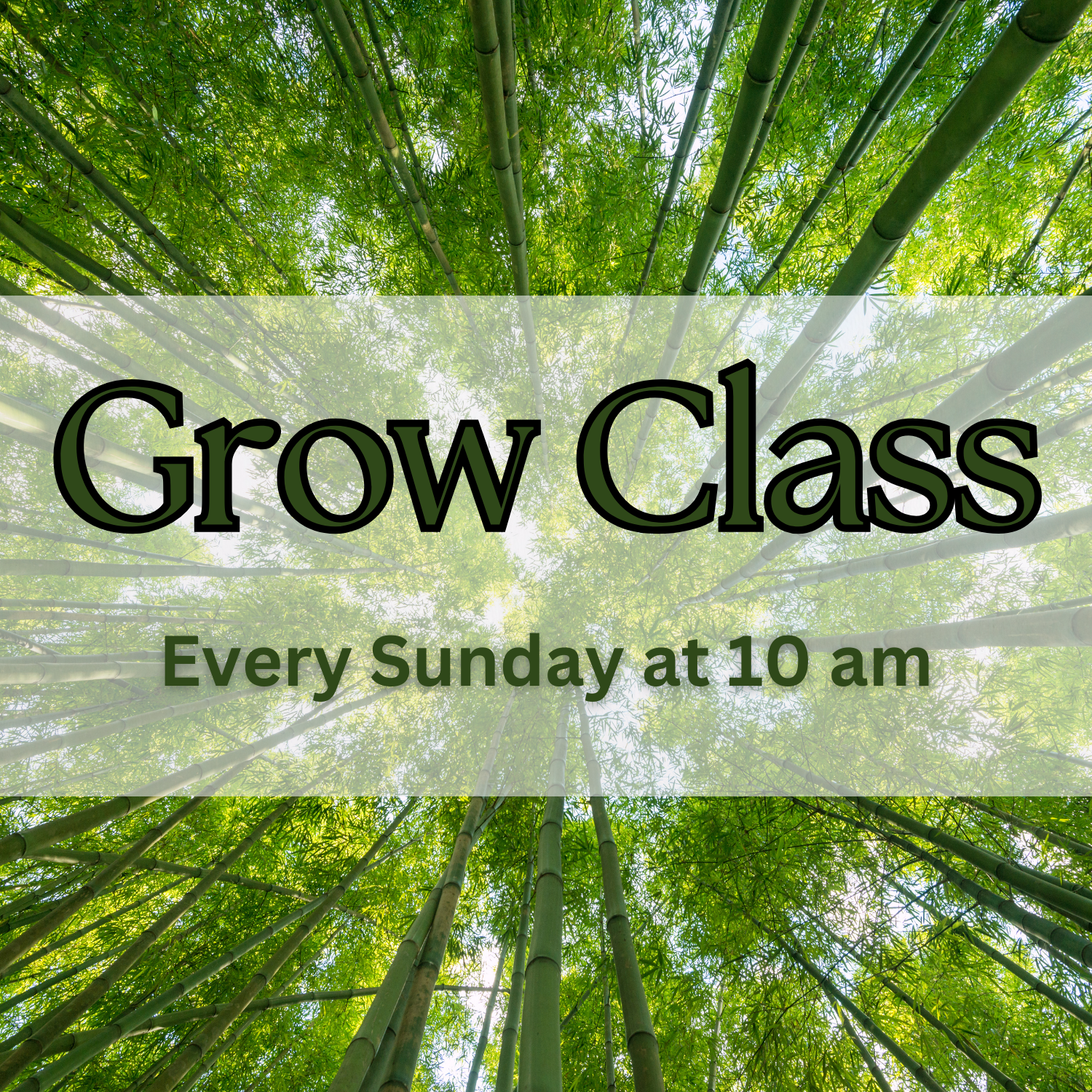 Sunday Grow Class 