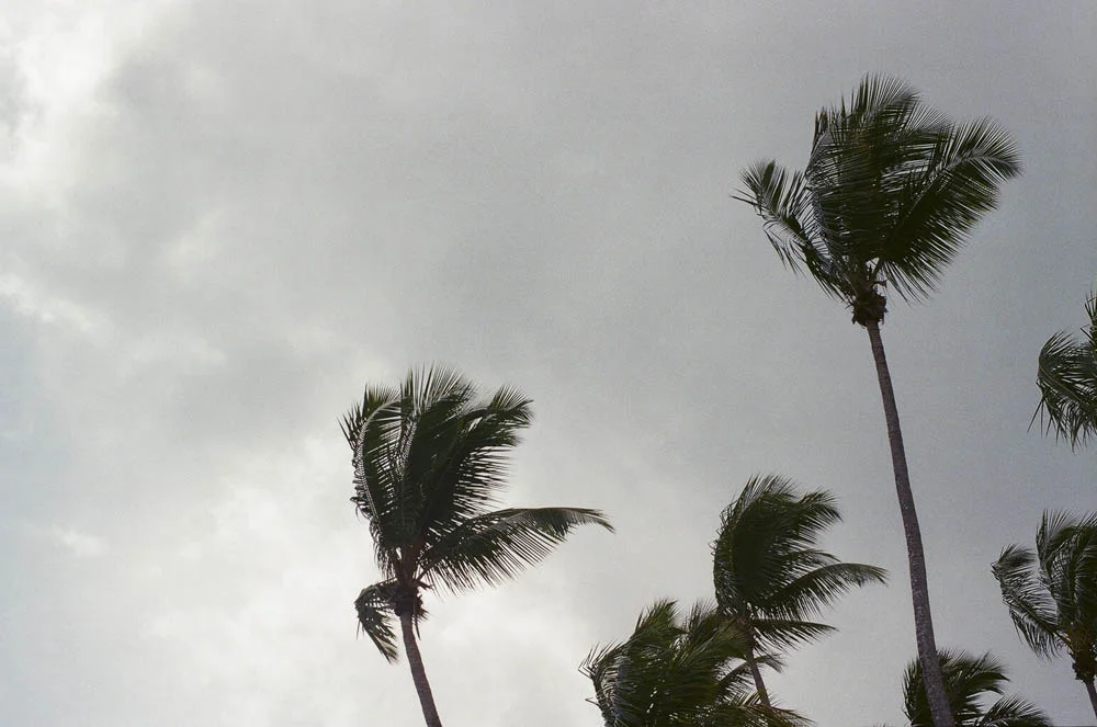 201709_domrep-4.jpg