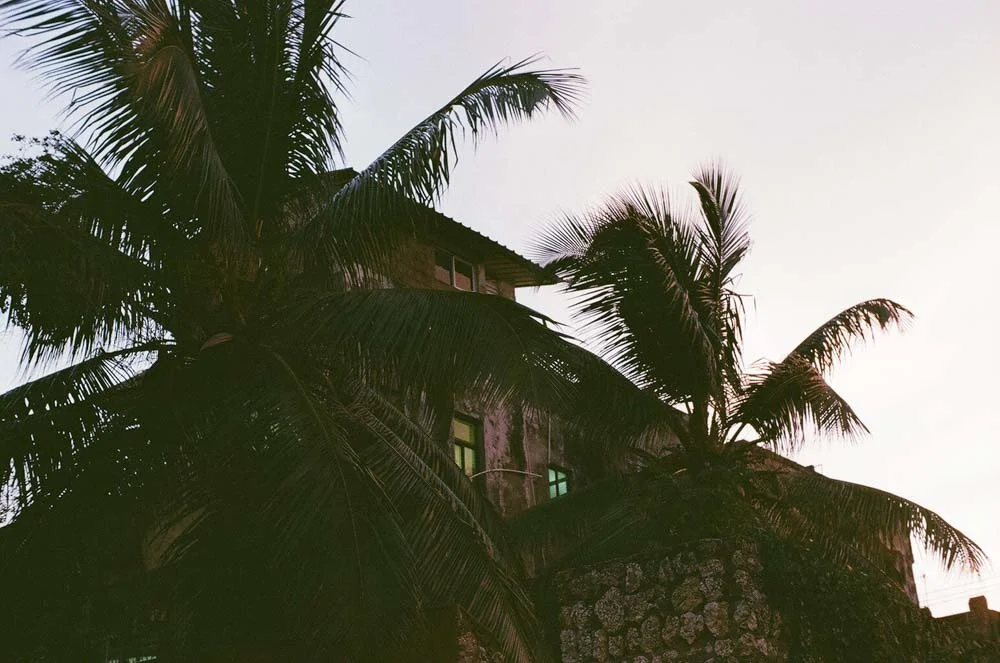 201709_domrep-6.jpg