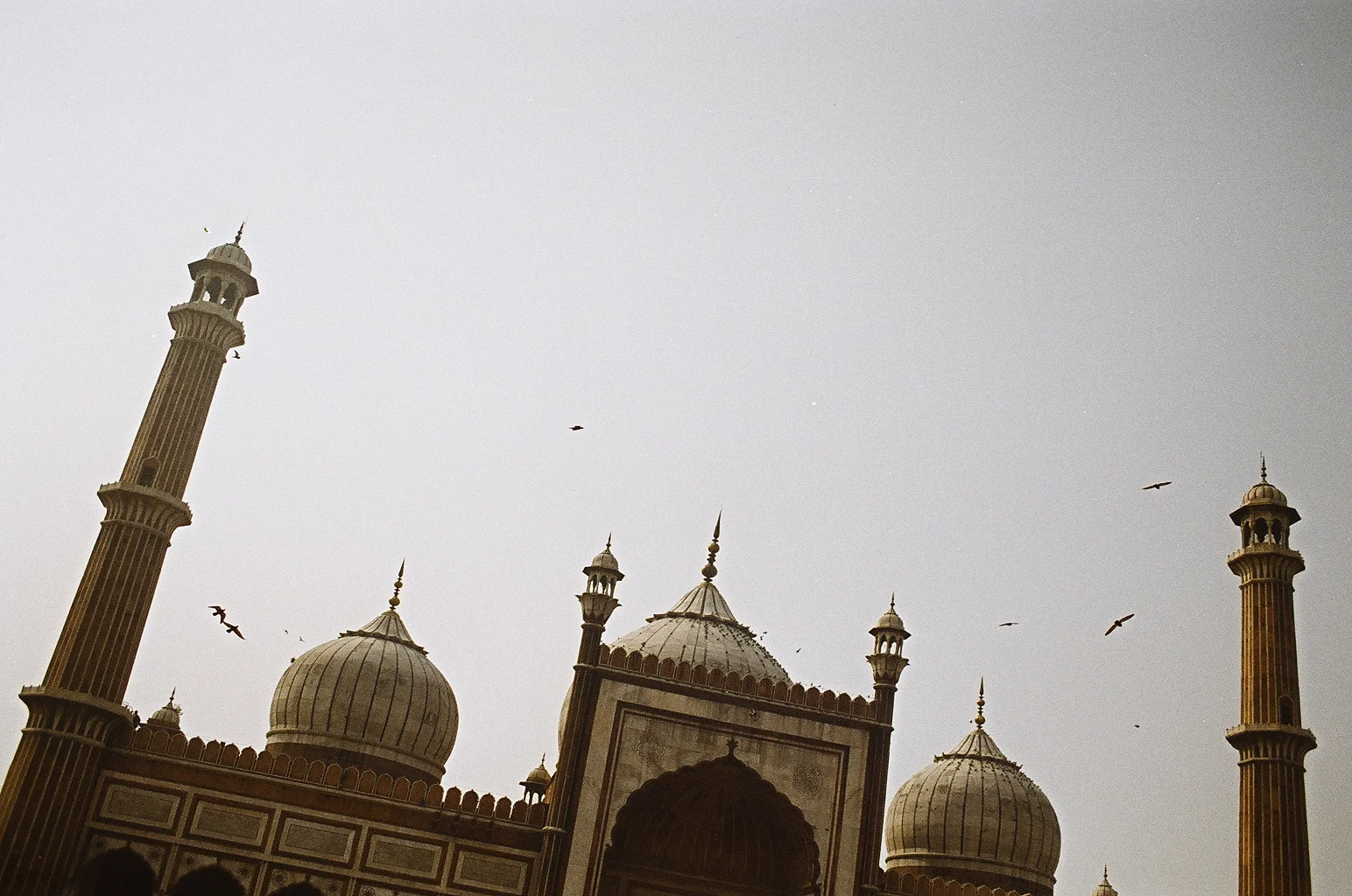 This is in New Delhi, but it’s the closest image I could find right now that evokes similar feelings to me as I imagine Morocco to be. I’ve been very interested in that country lately. I’ve bought a few pieces for my apartment (you’ll see them on my Insta), and I would just love to visit. Or live. We’ll see.
