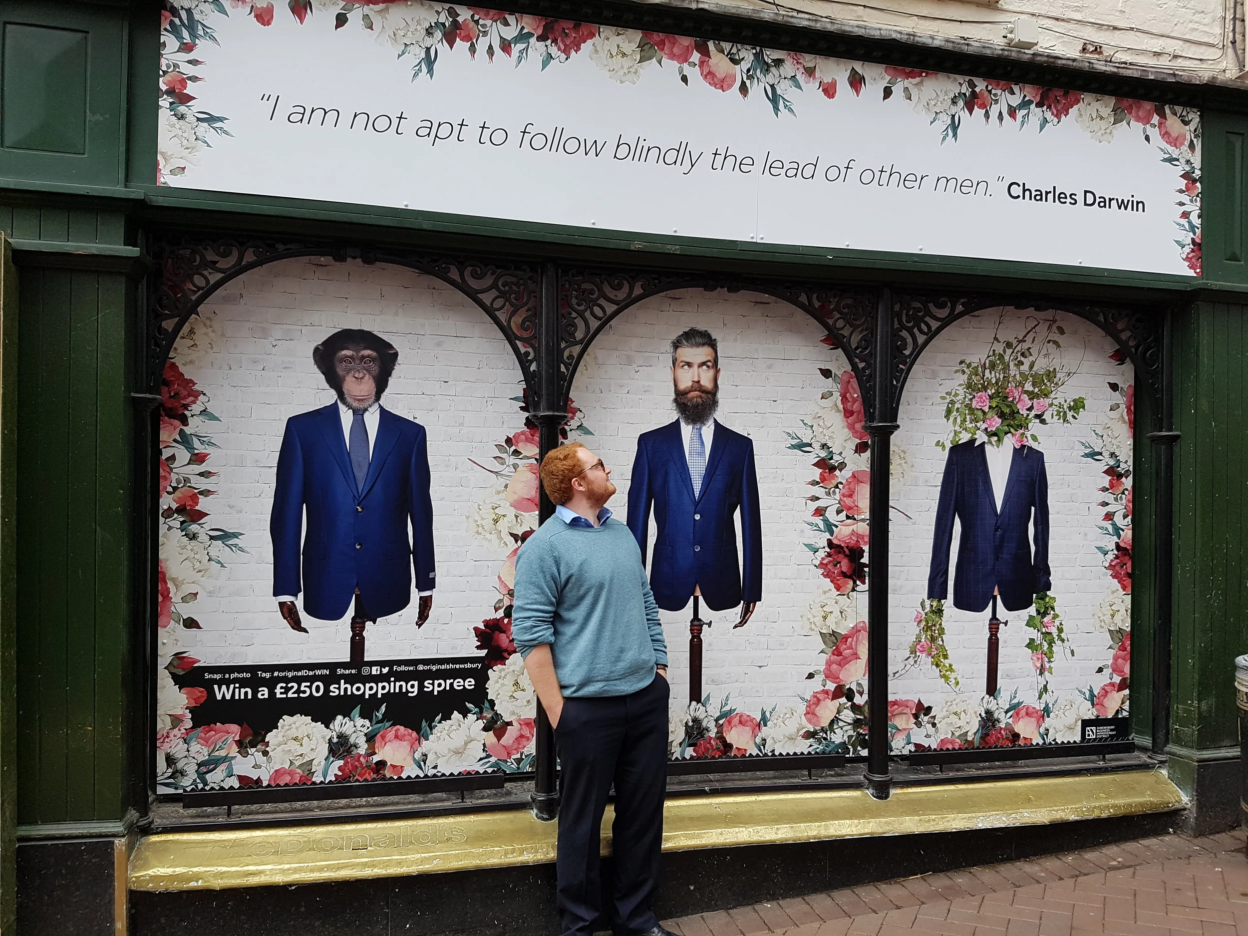 High Street Window Vinyls
