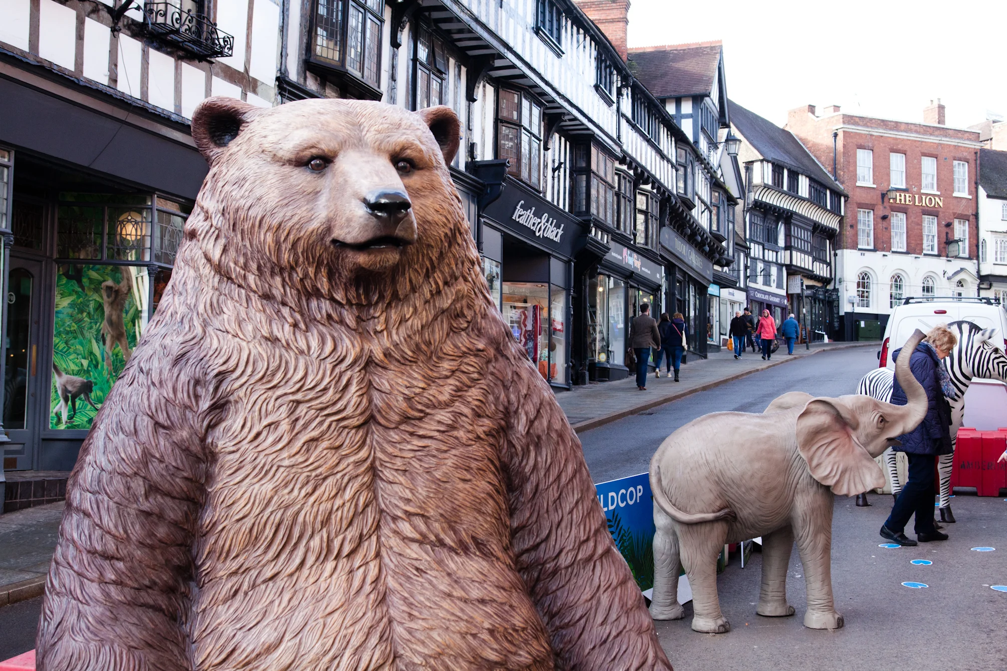  View from the bottom of Wild Cop with bear, elephant and zebra. 