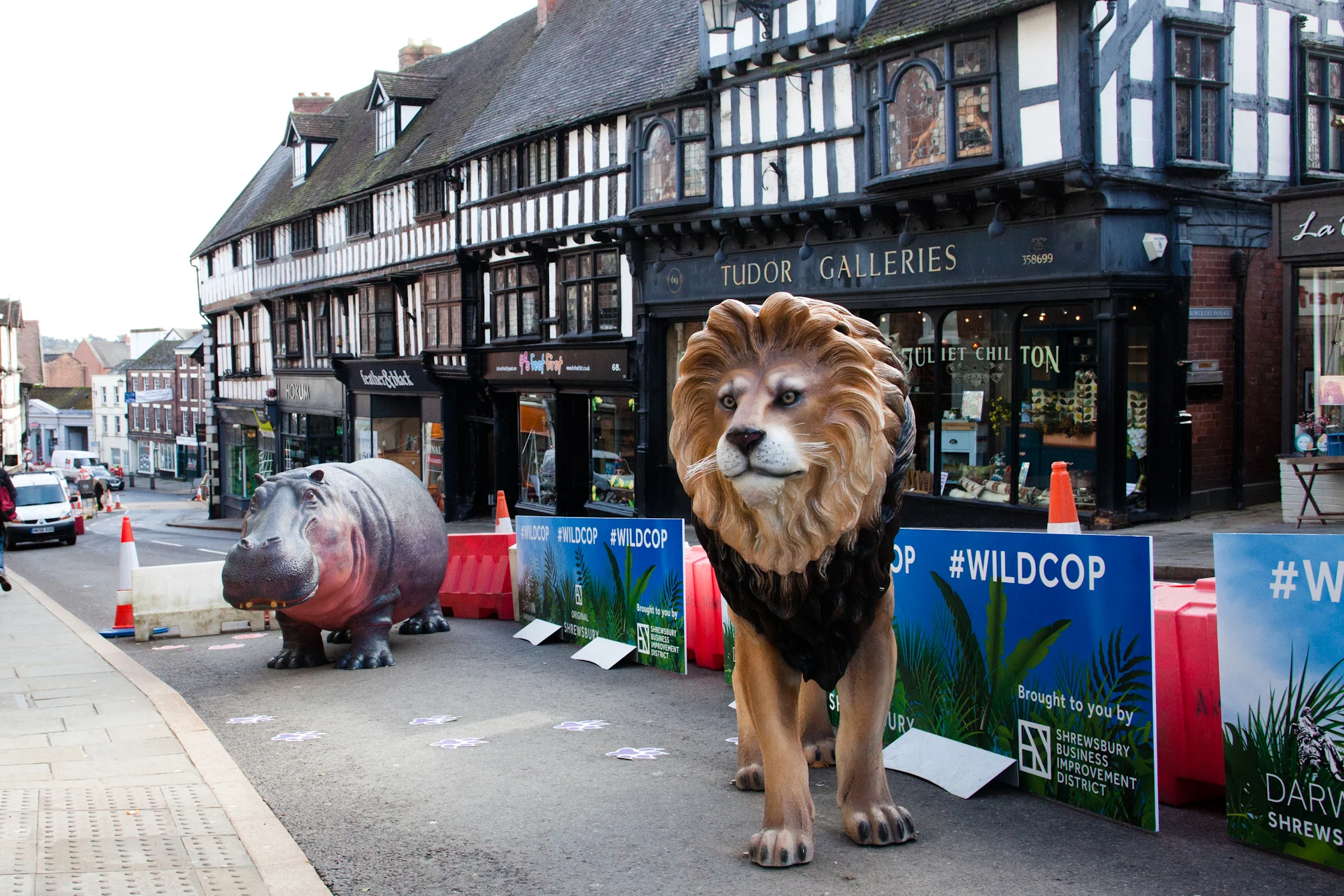  The fibreglass lion and hippo on Wild Cop with branded banners. 