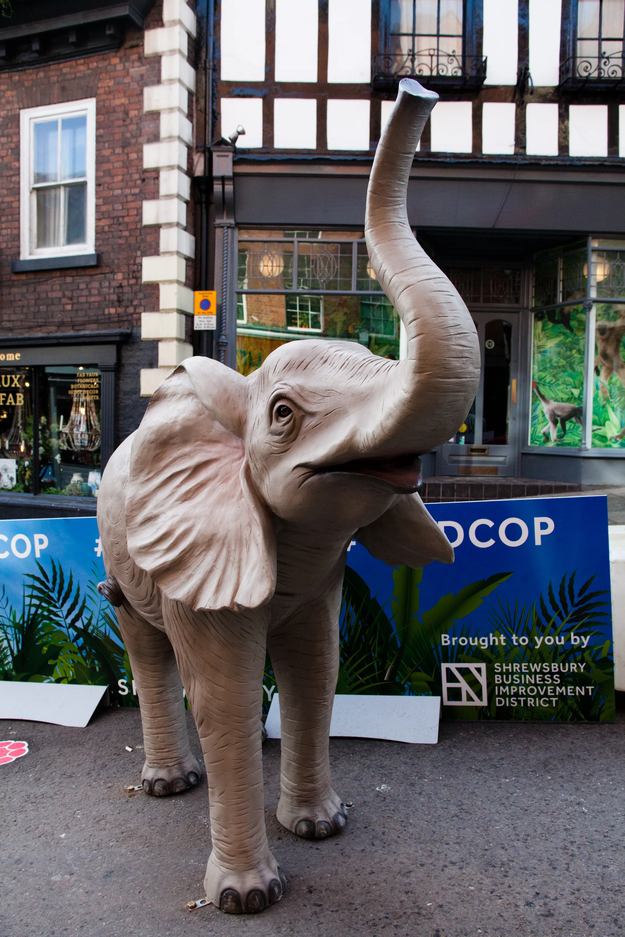  Fibreglass baby elephant on Wild Cop with window display in the background. 
