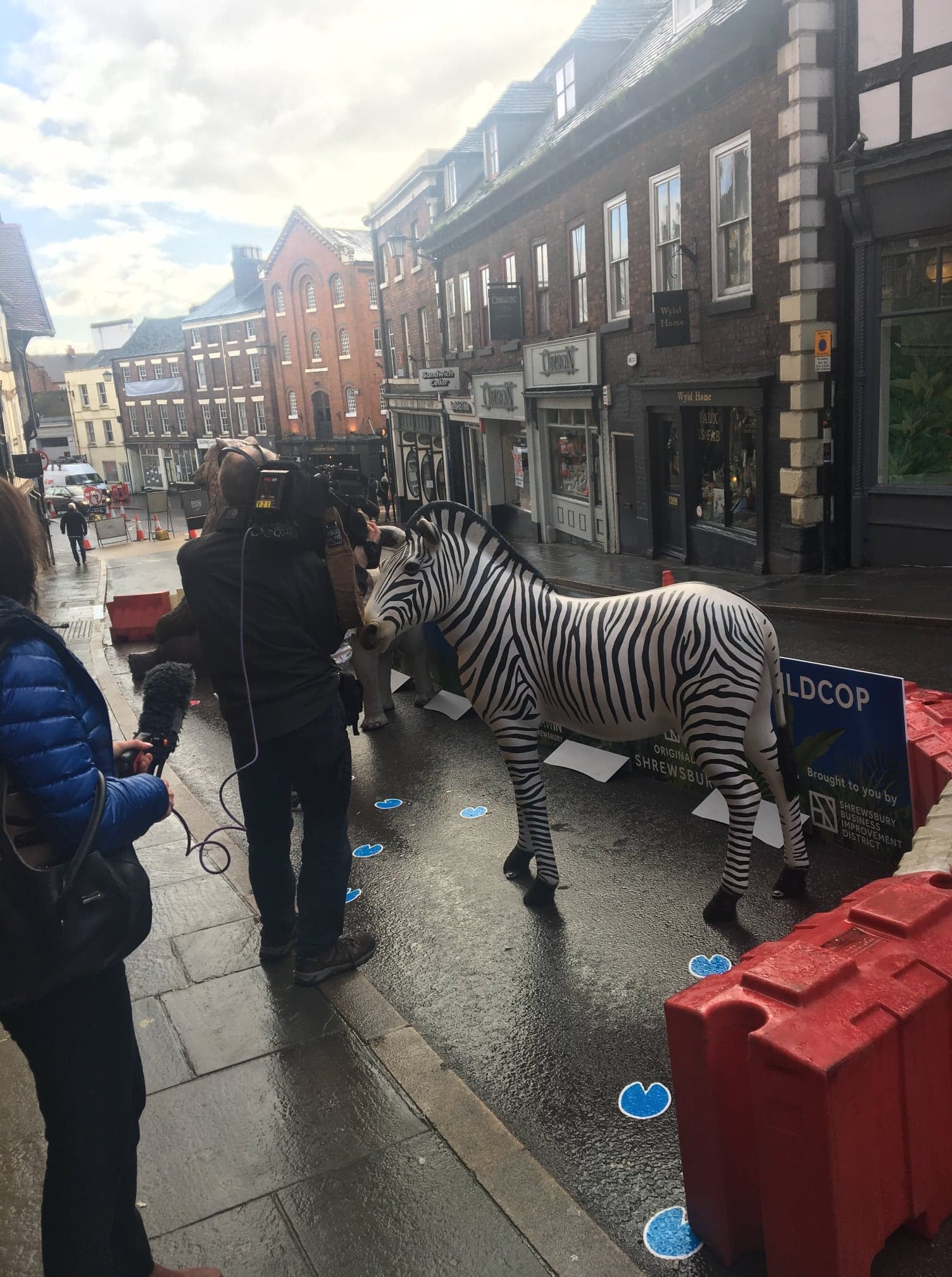  BBC film crew filming the zebra on Wild Cop. 