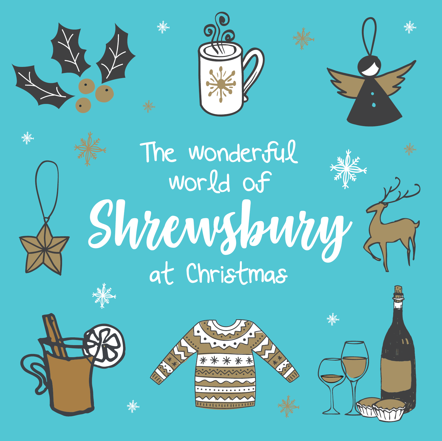 The Wonderful World of Shrewsbury at Christmas