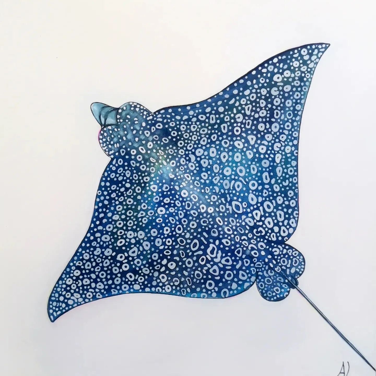 Evangeline the Eagle Ray💙🤍

This 80cm x 80cm was painted before I left Tulum and is still there waiting to be homed 🥰💙

I had a beautiful moment freediving with an Eagle Ray on my way back from a sunrise swim a couple of months ago, and this is m