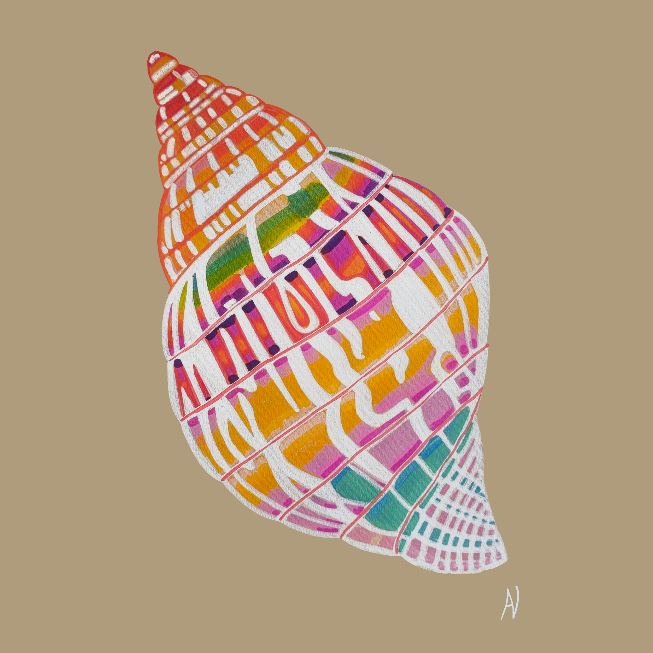 Bright Cone Shell Giclee Print