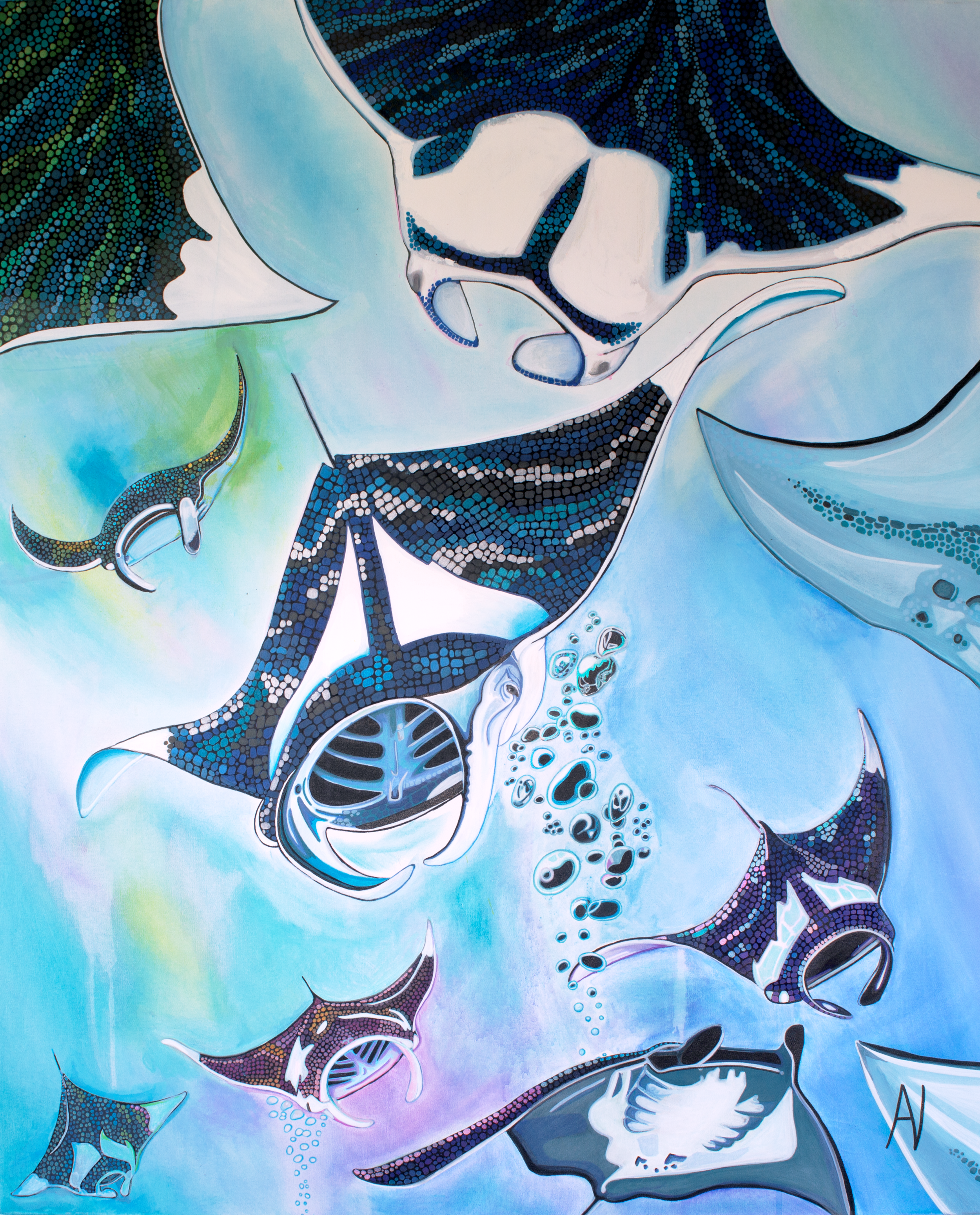 Multi Mantarays Colour edit small.png