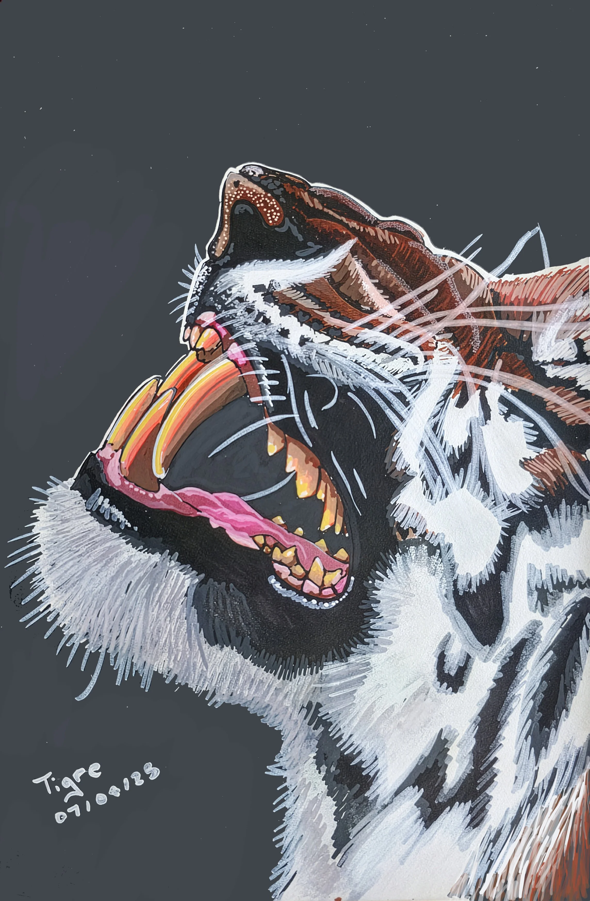 Tigre Giclee Print A5