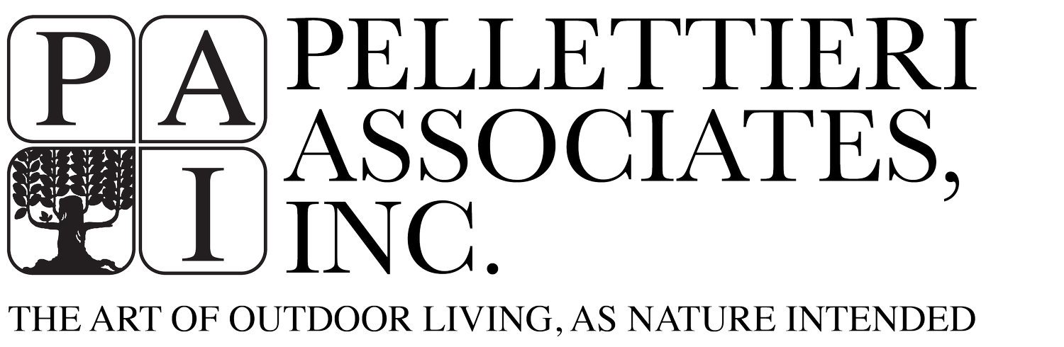 Pellettieri Associates, Inc. logo