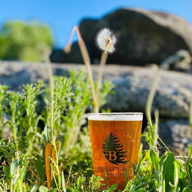 Wishing you a peaceful &amp; safe weekend, everyone. We are here filling growlers for takeout! Order online at blastybough.com. And thanks.
#HaveABlastyAtHome #summerinthe603 #nhbrewers #nhbeertrail #nhbeer #inthistogether